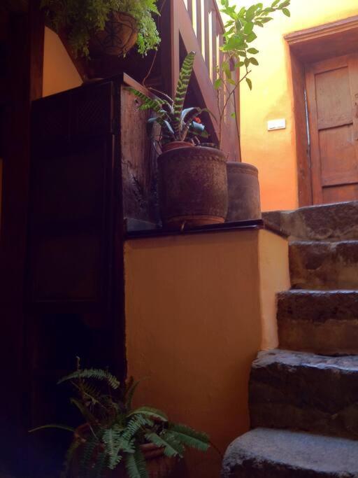 Casa Montanez, Caseron Historico サンタ・クルス・デ・ラ・パルマ スペイン エクステリア 写真